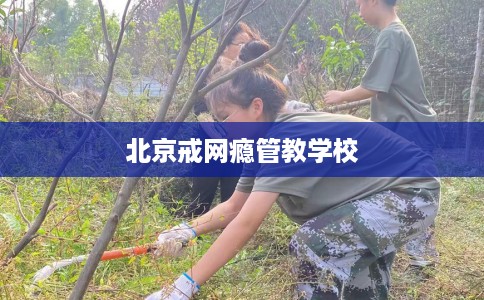 北京戒网瘾管教学校