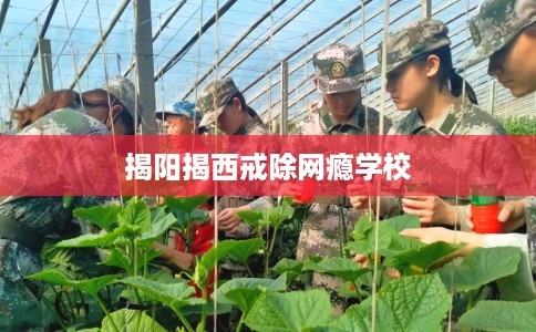 揭阳揭西戒除网瘾学校