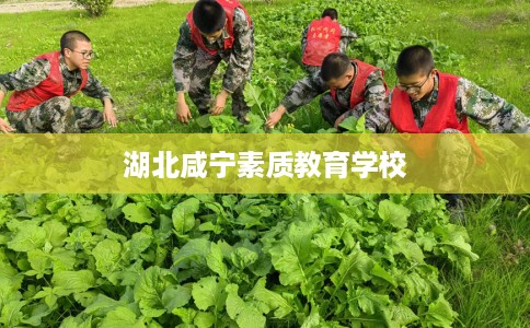 湖北咸宁素质教育学校