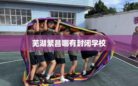 芜湖繁昌哪有封闭学校
