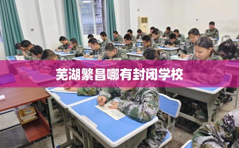 芜湖繁昌哪有封闭学校