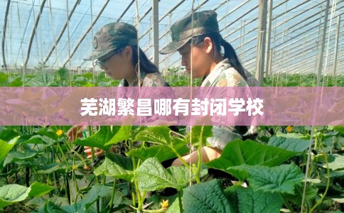 芜湖繁昌哪有封闭学校