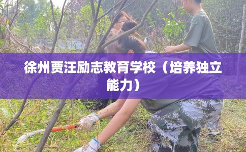 徐州贾汪励志教育学校（培养独立能力）