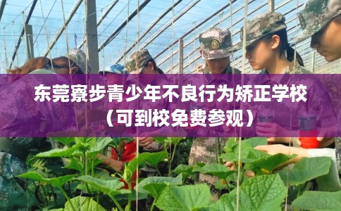 东莞寮步青少年不良行为矫正学校（可到校免费参观）