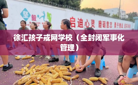 徐汇孩子戒网学校（全封闭军事化管理）