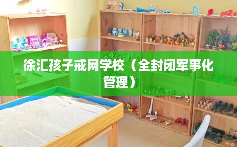 徐汇孩子戒网学校（全封闭军事化管理）