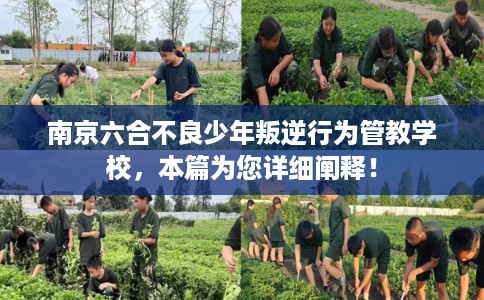 南京六合不良少年叛逆行为管教学校，本篇为您详细阐释！