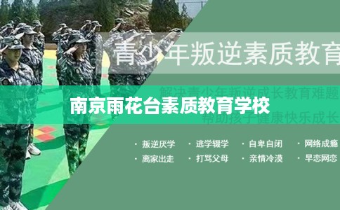 南京雨花台素质教育学校