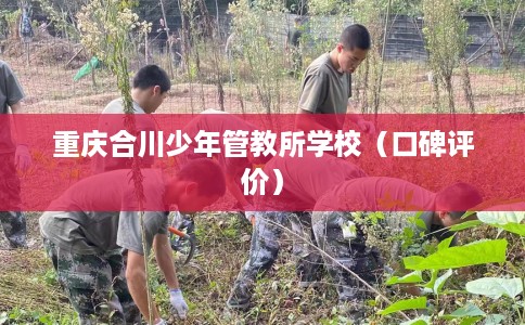 重庆合川少年管教所学校（口碑评价）
