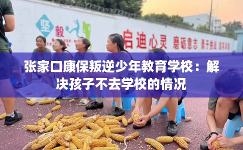 张家口康保叛逆少年教育学校：解决孩子不去学校的情况