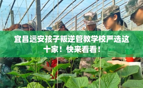 宜昌远安孩子叛逆管教学校严选这十家！快来看看！