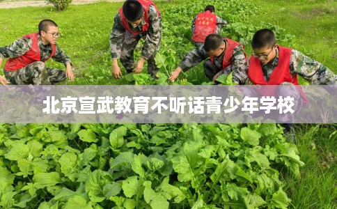 北京宣武教育不听话青少年学校