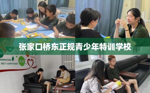 张家口桥东正规青少年特训学校