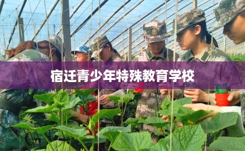 宿迁青少年特殊教育学校