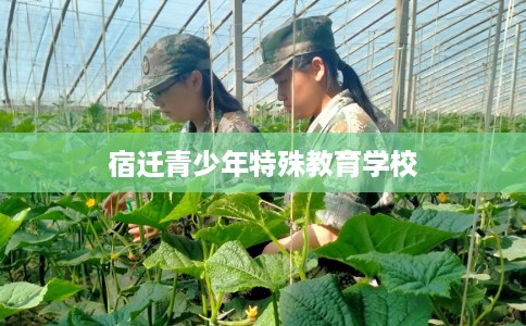 宿迁青少年特殊教育学校