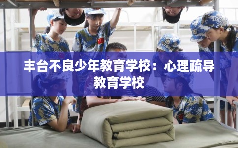 丰台不良少年教育学校：心理疏导教育学校