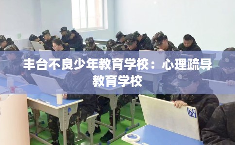 丰台不良少年教育学校：心理疏导教育学校