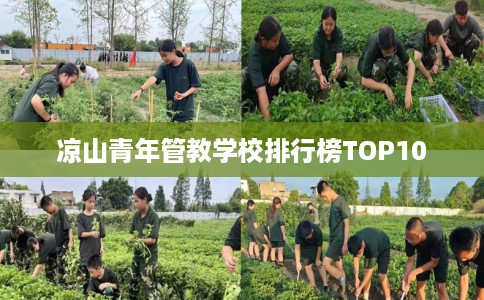 凉山青年管教学校排行榜TOP10