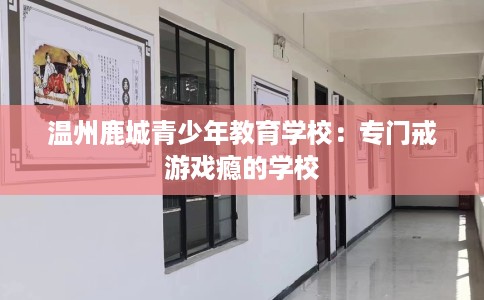 温州鹿城青少年教育学校：专门戒游戏瘾的学校