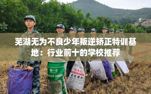 芜湖无为不良少年叛逆矫正特训基地：行业前十的学校推荐