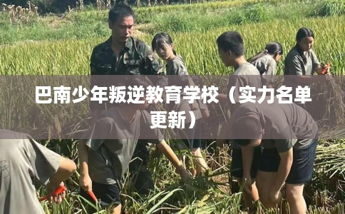 巴南少年叛逆教育学校（实力名单更新）