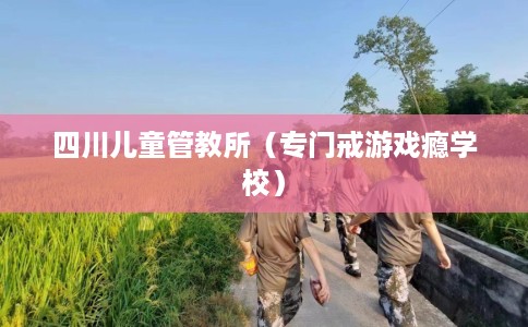 四川儿童管教所（专门戒游戏瘾学校）