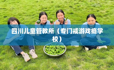 四川儿童管教所（专门戒游戏瘾学校）