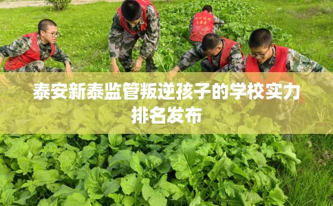 泰安新泰监管叛逆孩子的学校实力排名发布