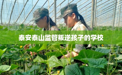 泰安泰山监管叛逆孩子的学校