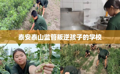 泰安泰山监管叛逆孩子的学校