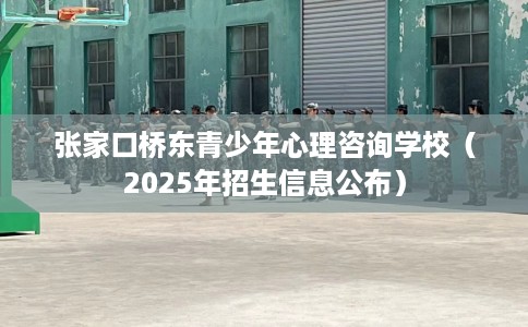 张家口桥东青少年心理咨询学校（2025年招生信息公布）