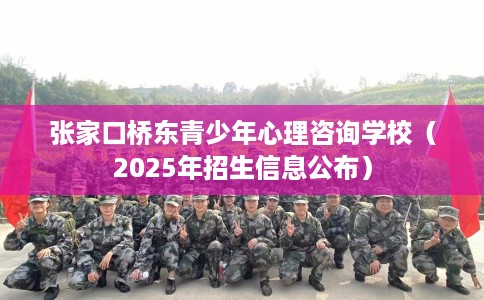 张家口桥东青少年心理咨询学校（2025年招生信息公布）