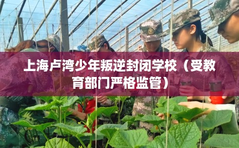 上海卢湾少年叛逆封闭学校（受教育部门严格监管）