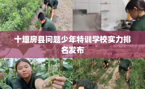 十堰房县问题少年特训学校实力排名发布