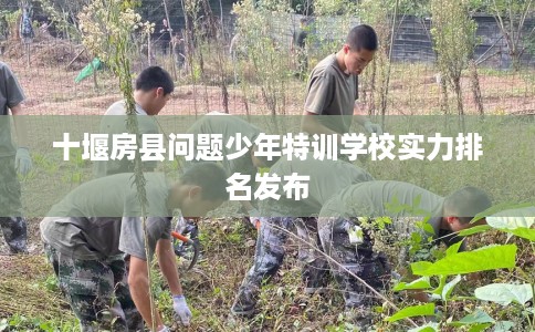 十堰房县问题少年特训学校实力排名发布