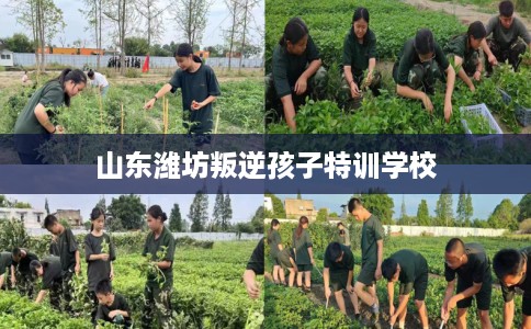 山东潍坊叛逆孩子特训学校