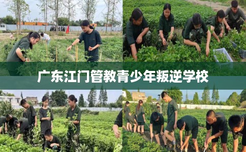 广东江门管教青少年叛逆学校