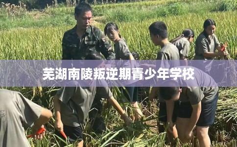 芜湖南陵叛逆期青少年学校