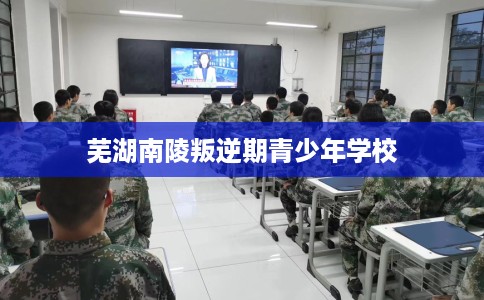 芜湖南陵叛逆期青少年学校
