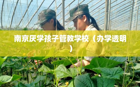 南京厌学孩子管教学校（办学透明）