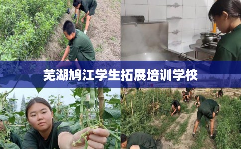 芜湖鸠江学生拓展培训学校