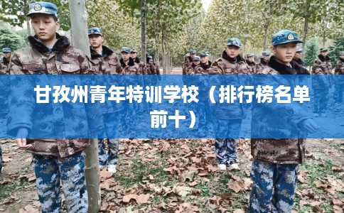 甘孜州青年特训学校（排行榜名单前十）