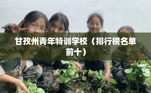 甘孜州青年特训学校（排行榜名单前十）