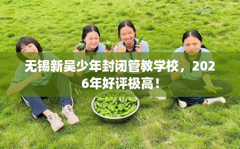 无锡新吴少年封闭管教学校，2026年好评极高！