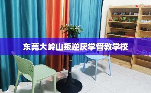 东莞大岭山叛逆厌学管教学校