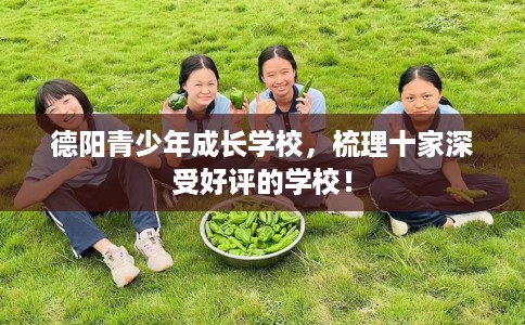 德阳青少年成长学校，梳理十家深受好评的学校！