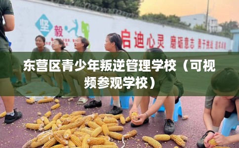 东营区青少年叛逆管理学校（可视频参观学校）