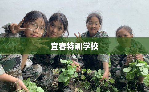宜春特训学校