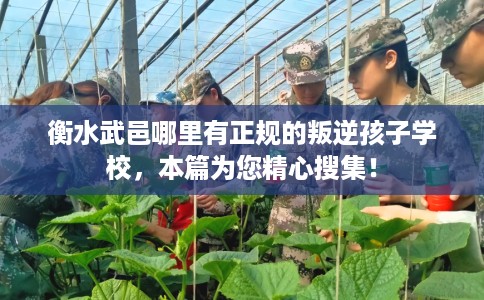 衡水武邑哪里有正规的叛逆孩子学校，本篇为您精心搜集！