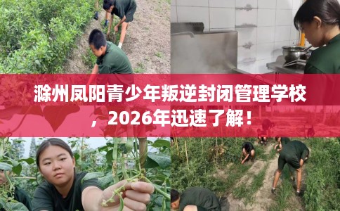 滁州凤阳青少年叛逆封闭管理学校，2026年迅速了解！